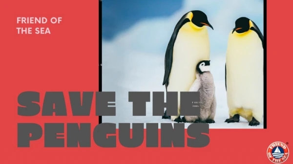 Save the Penguins-Friend of the sea