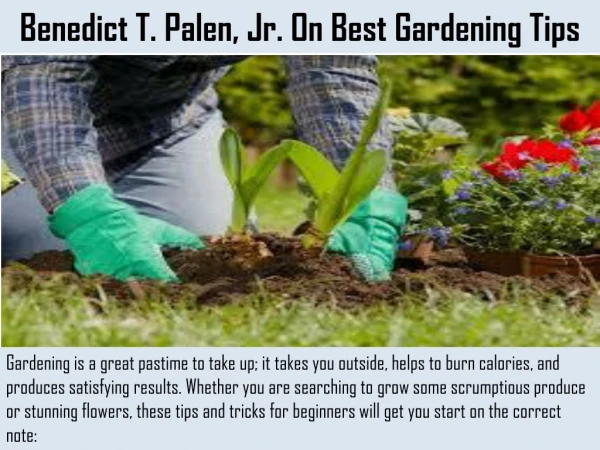 Benedict T. Palen, Jr. On Best Gardening Tips