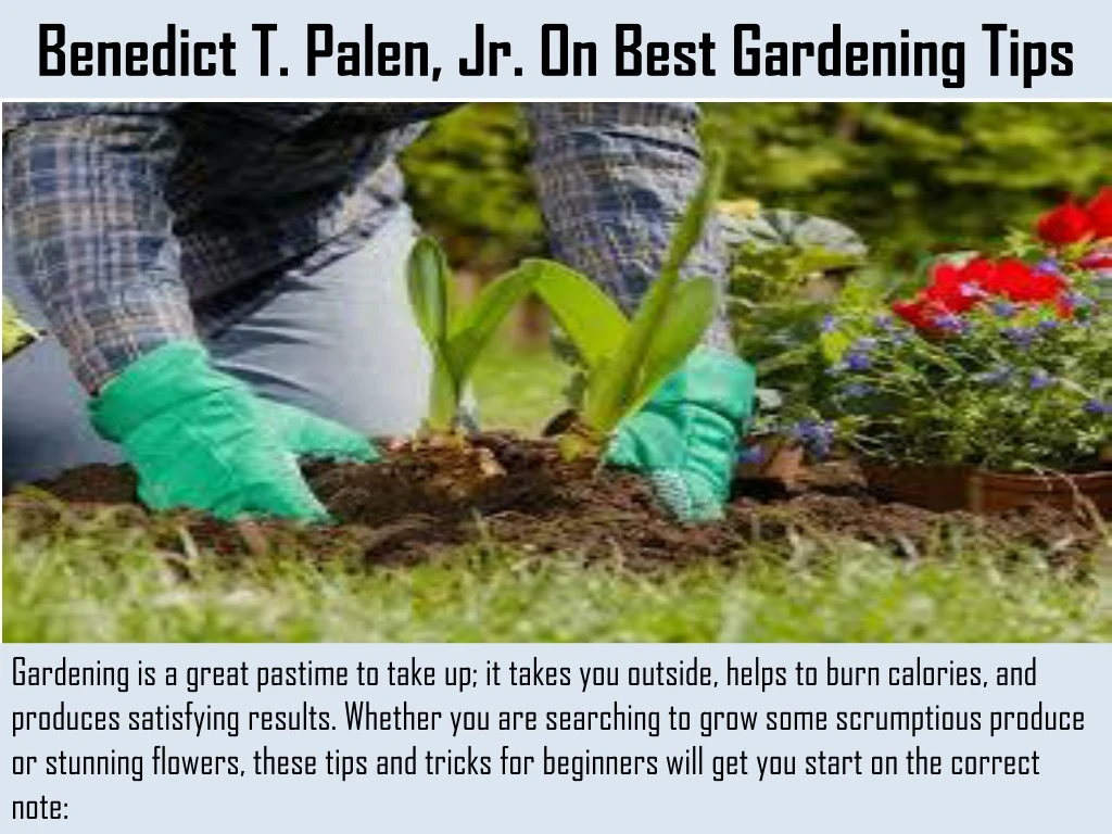 benedict t palen jr on best gardening tips
