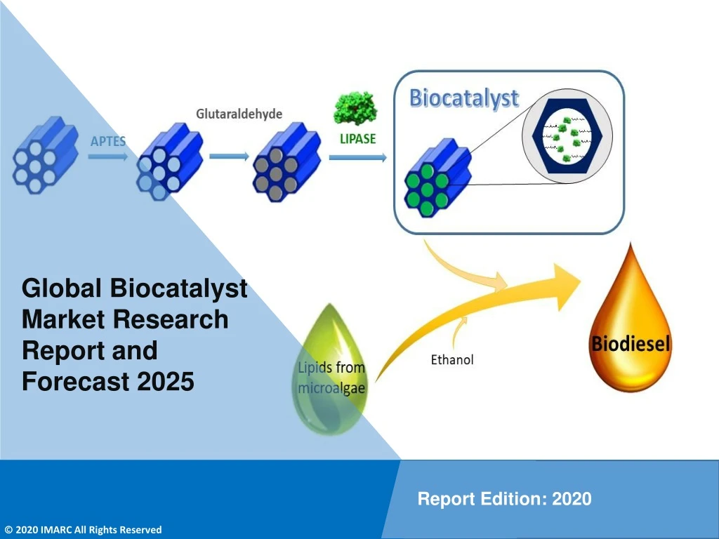 global biocatalyst market research report