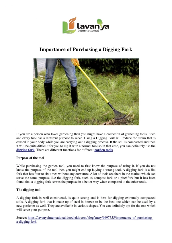 Importance of Purchasing a Digging Fork