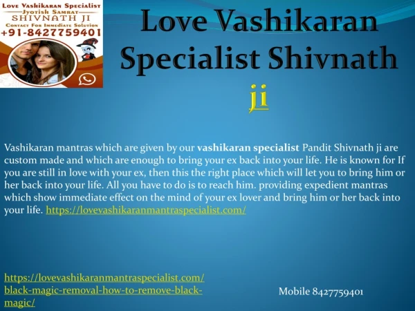 Astrologer Shivnath Ji