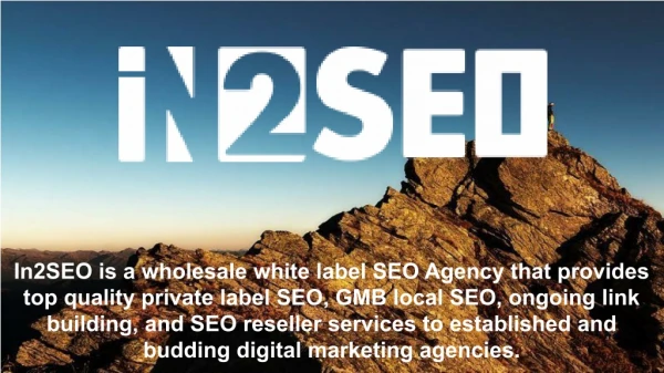 in2seo is a wholesale white label seo agency that