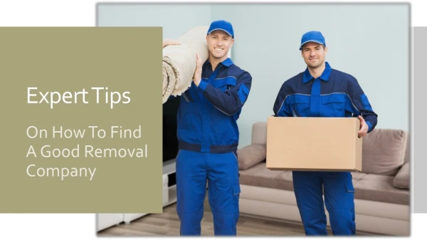 expert tips