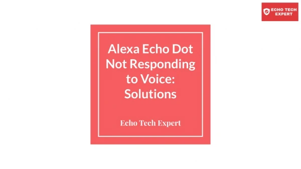 ALL Solutions of Alexa Echo Dot When It Does not Respond to Voice