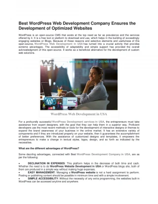 WordPress Web Development in USA - slide 1