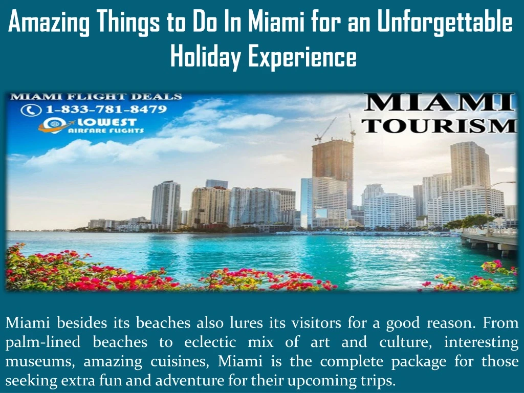 amazing things to do in miami