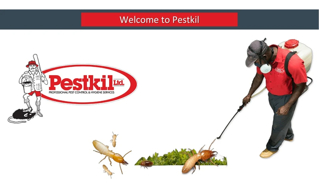 welcome to pestkil