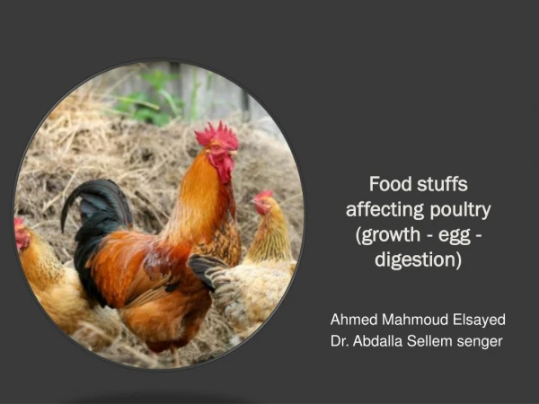Food items that affect poultry (growth - egg -digestion)