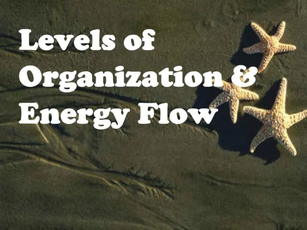 Levels of Organization Energy Flow