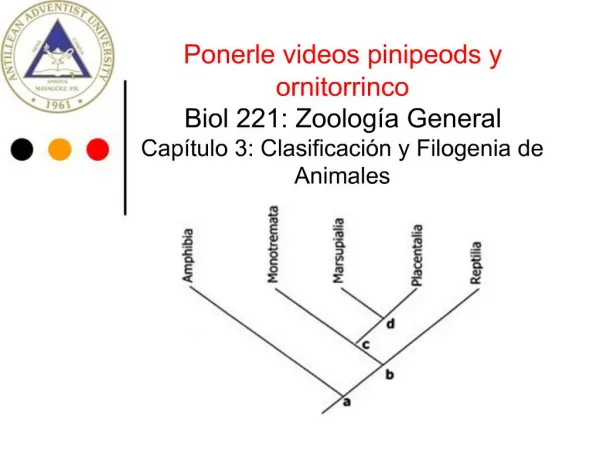 Ponerle videos pinipeods y ornitorrinco Biol 221: Zoolog a General Cap tulo 3: Clasificaci n y Filogenia de Animales Pr