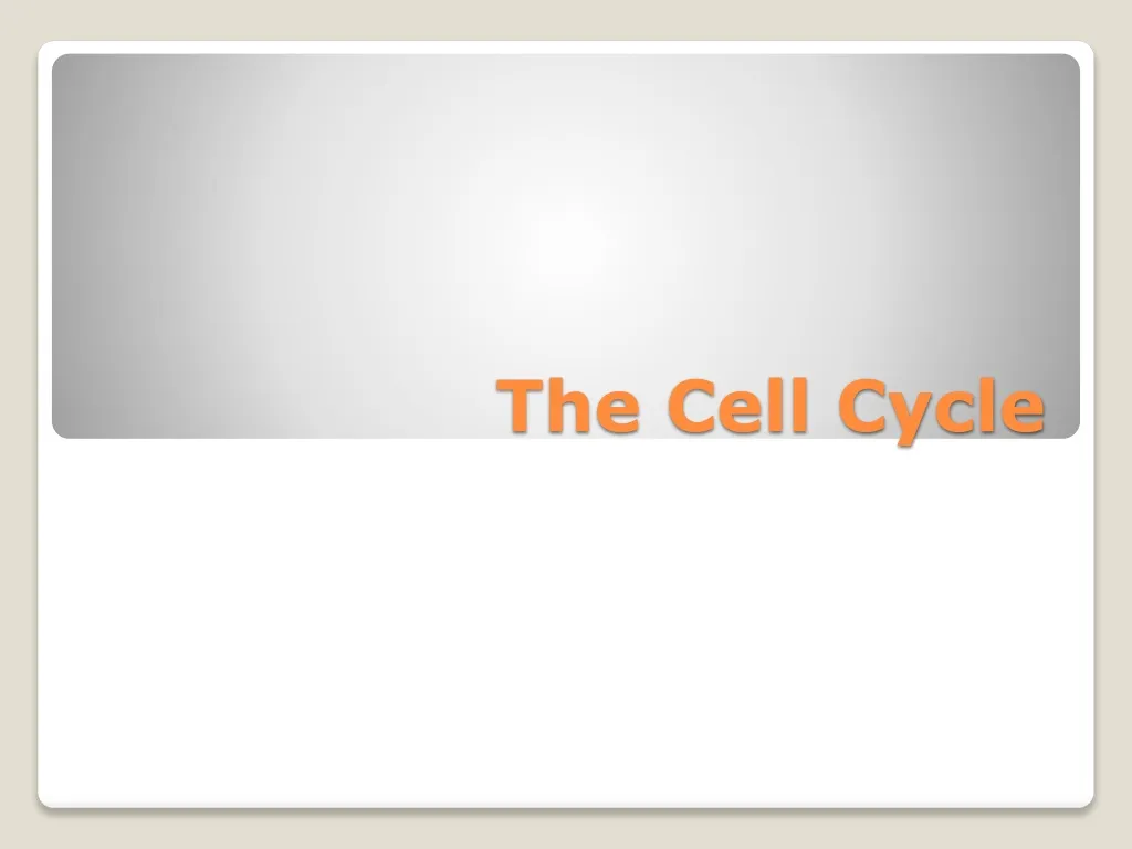 the cell cycle