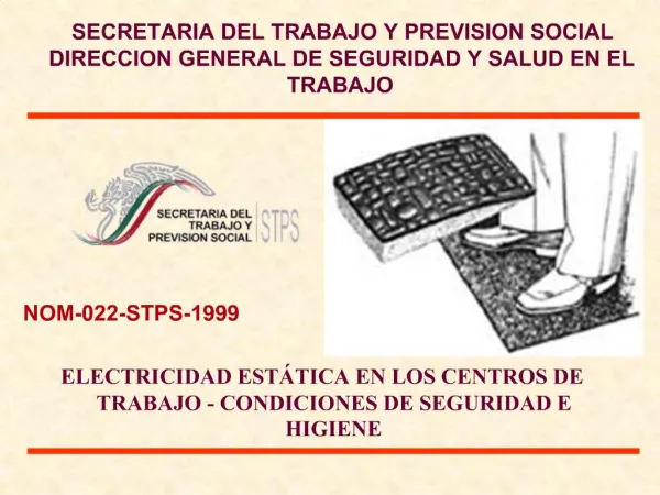 SECRETARIA DEL TRABAJO Y PREVISION SOCIAL DIRECCION GENERAL DE SEGURIDAD Y SALUD EN EL TRABAJO