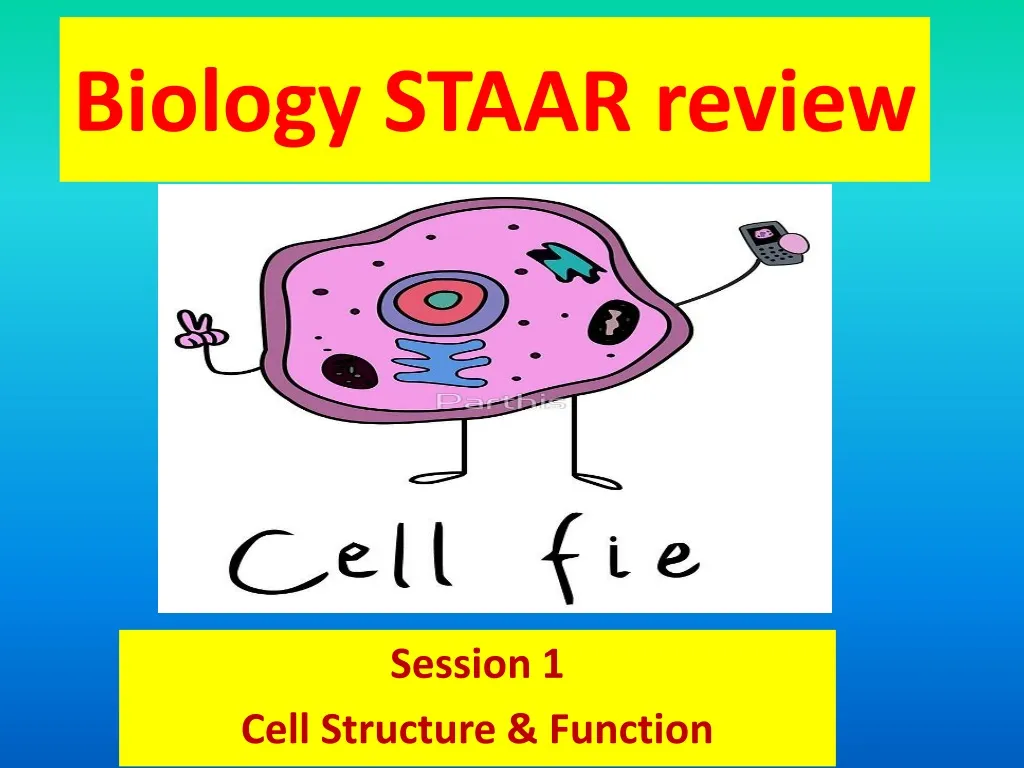 biology staar review