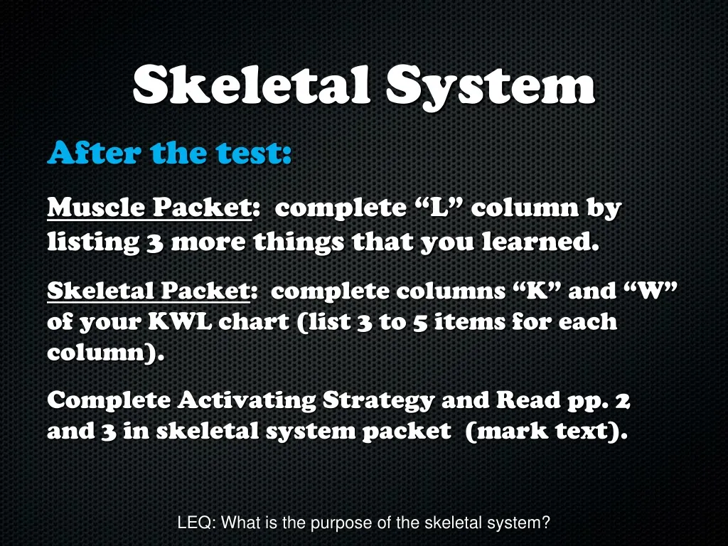 skeletal system