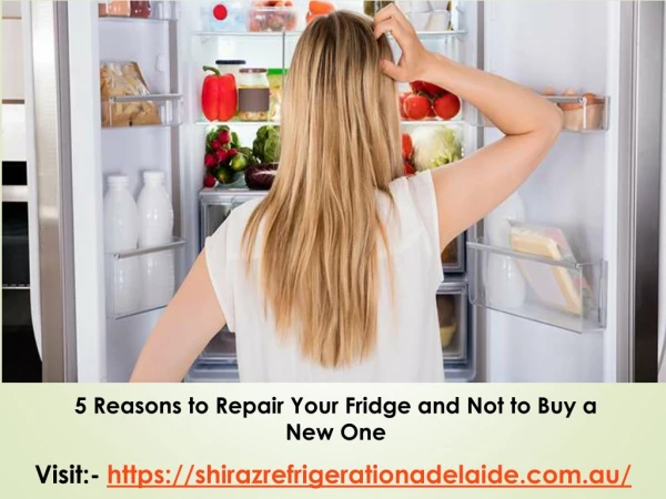 5 Reasons to Repair Your Fridge and Not to Buy a New One
