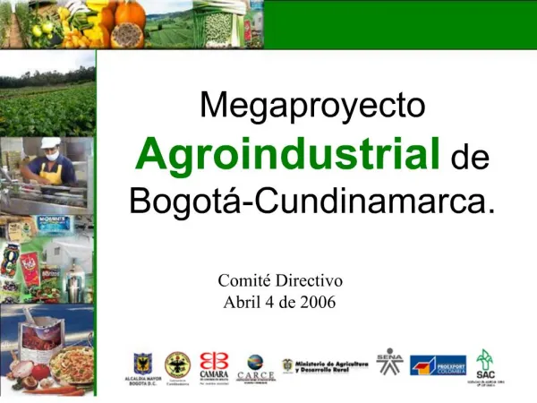 Megaproyecto Agroindustrial de Bogot -Cundinamarca.