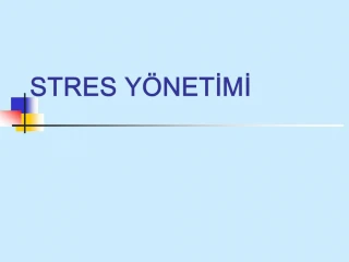 STRES Y NETIMI - slide 1
