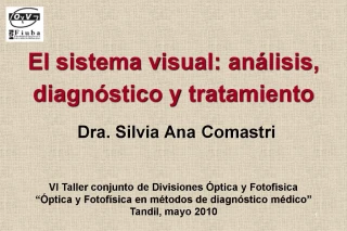 El sistema visual: an lisis, diagn stico y tratamiento - slide 1