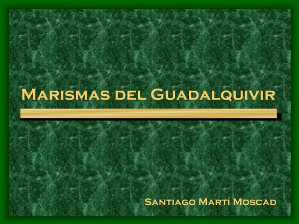 Marismas del Guadalquivir