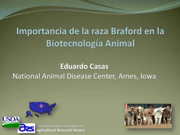 Importancia de la raza Braford en la Biotecnolog a Animal