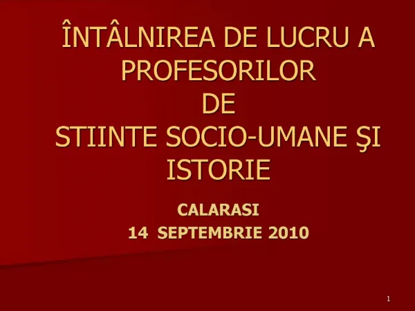 NT LNIREA DE LUCRU A PROFESORILOR DE STIINTE SOCIO-UMANE SI ISTORIE