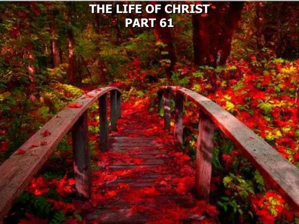 THE LIFE OF CHRIST PART 61