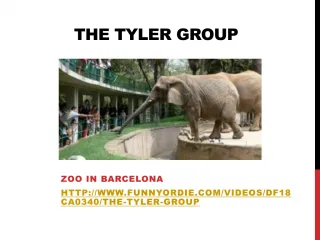 The Tyler Group - slide 1