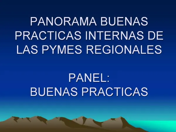PANORAMA BUENAS PRACTICAS INTERNAS DE LAS PYMES REGIONALES PANEL: BUENAS PRACTICAS