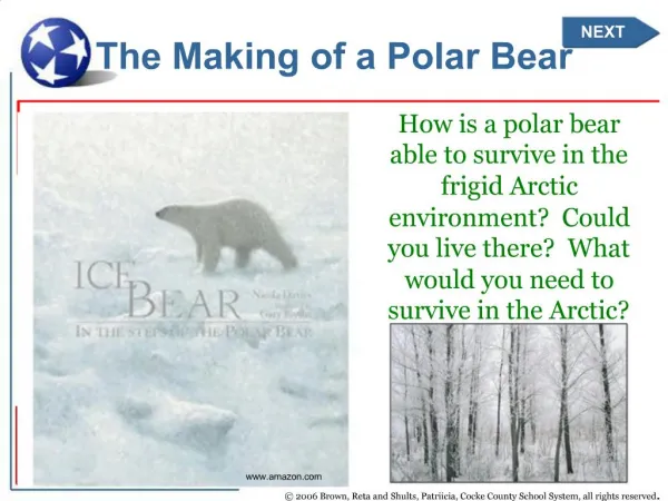 The Making of a Polar Bear