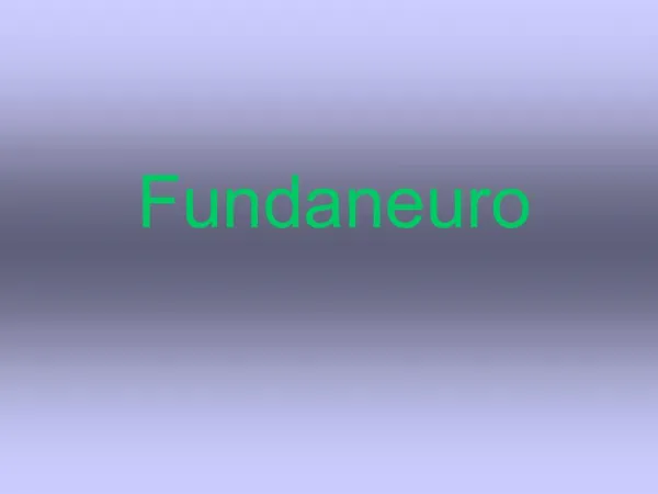 Fundaneuro