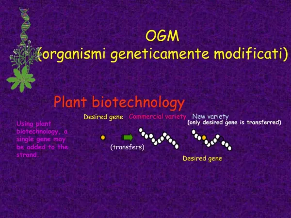 OGM organismi geneticamente modificati