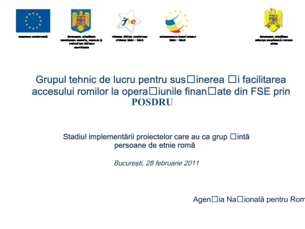 Grupul tehnic de lucru pentru susinerea i facilitarea accesului romilor la operaiunile finanate din FSE prin POSDRU