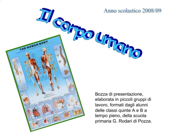 Il corpo umano