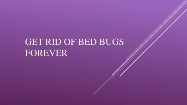 Bed Bugs Treatment Singapore