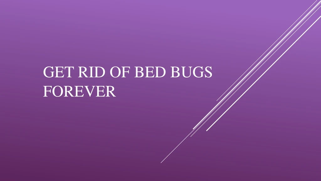 get rid of bed bugs forever