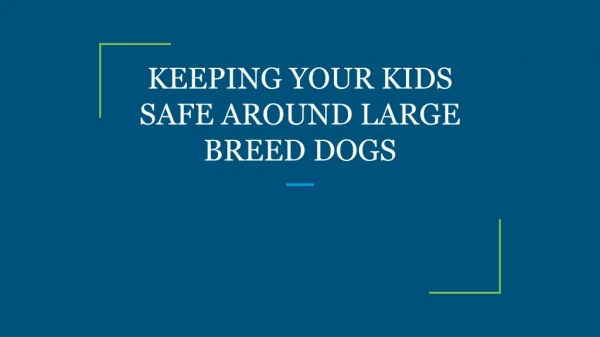 KEEPING YOUR KIDS SAFE AROUND LARGE BREED DOGS