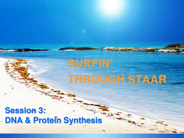 Session 3: DNA &amp; Protein Synthesis