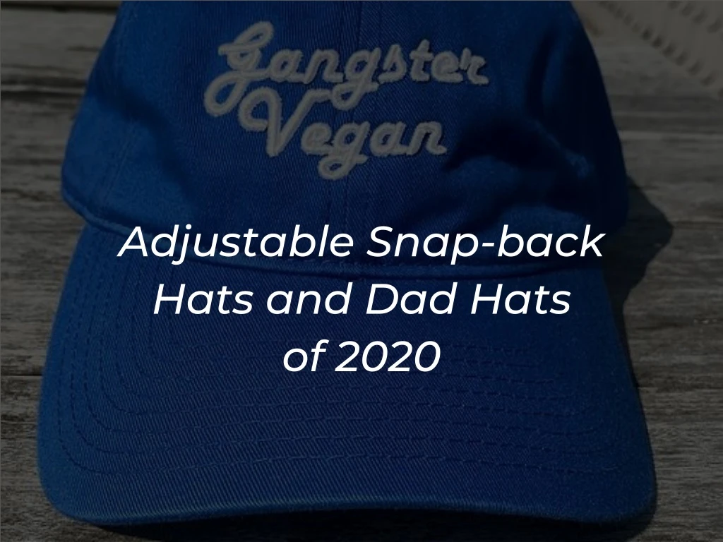adjustable snap back hats and dad hats of 2020