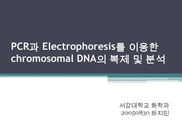 PCR Electrophoresis chromosomal DNA
