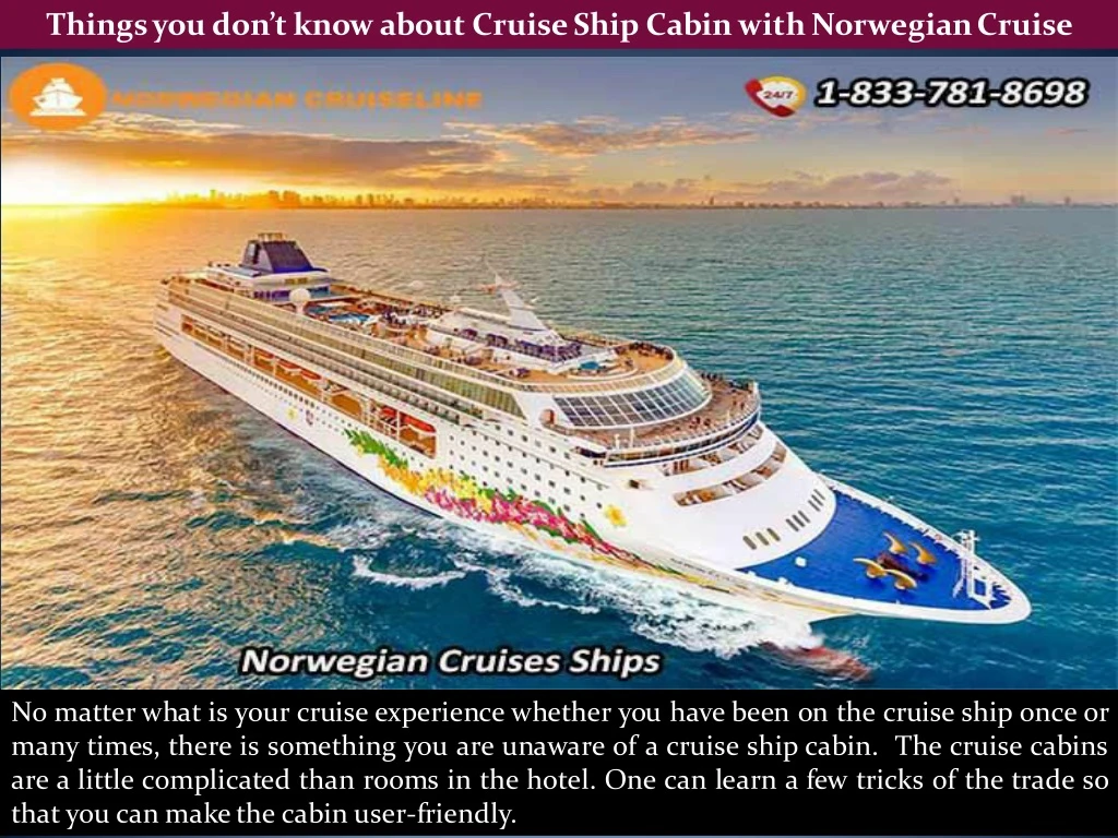 things you don t know about cruise ship cabin