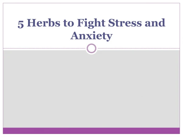 5 Herbs to Fight Stress and Anxiety | Health Blog | All Day Chemist