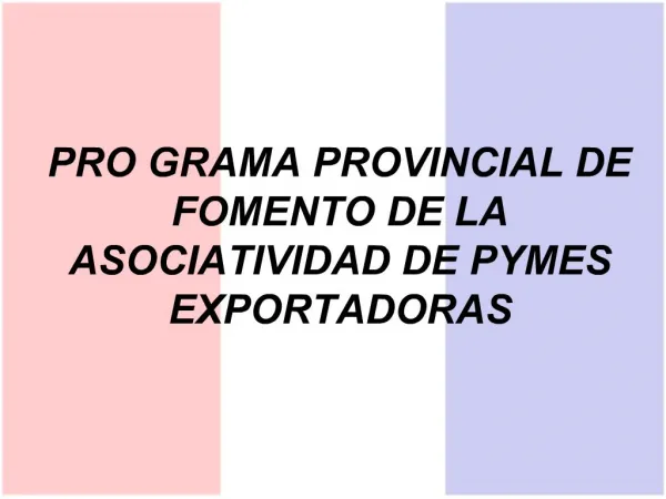 PROGRAMA PROVINCIAL DE FOMENTO DE LA ASOCIATIVIDAD DE PYMES EXPORTADORAS