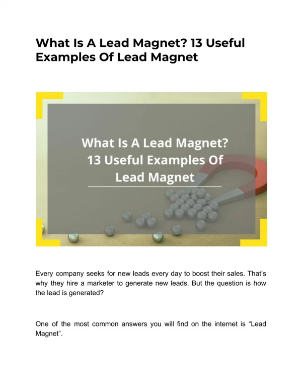 what is a lead magnet 13 useful examples of lead