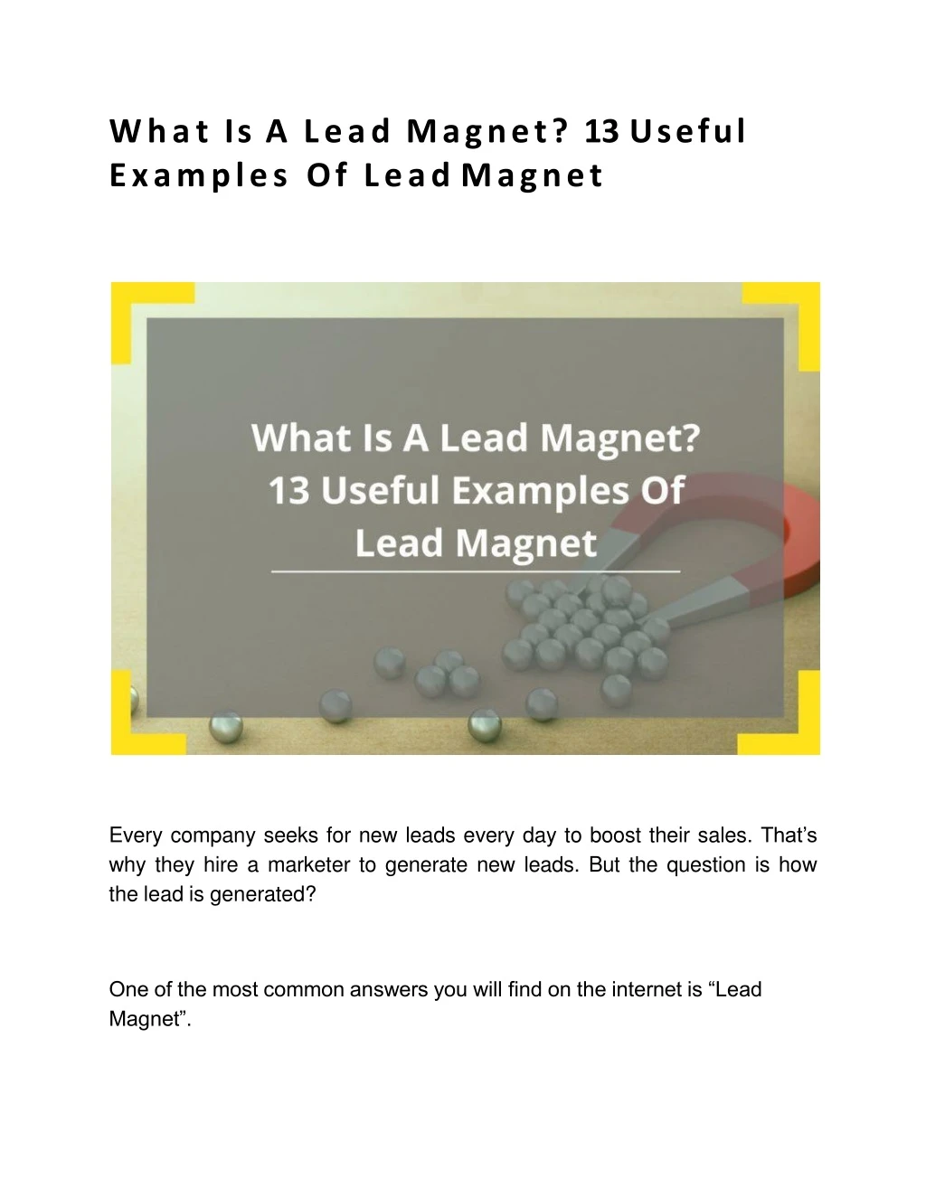what is a lead magnet 13 useful examples of lead magnet