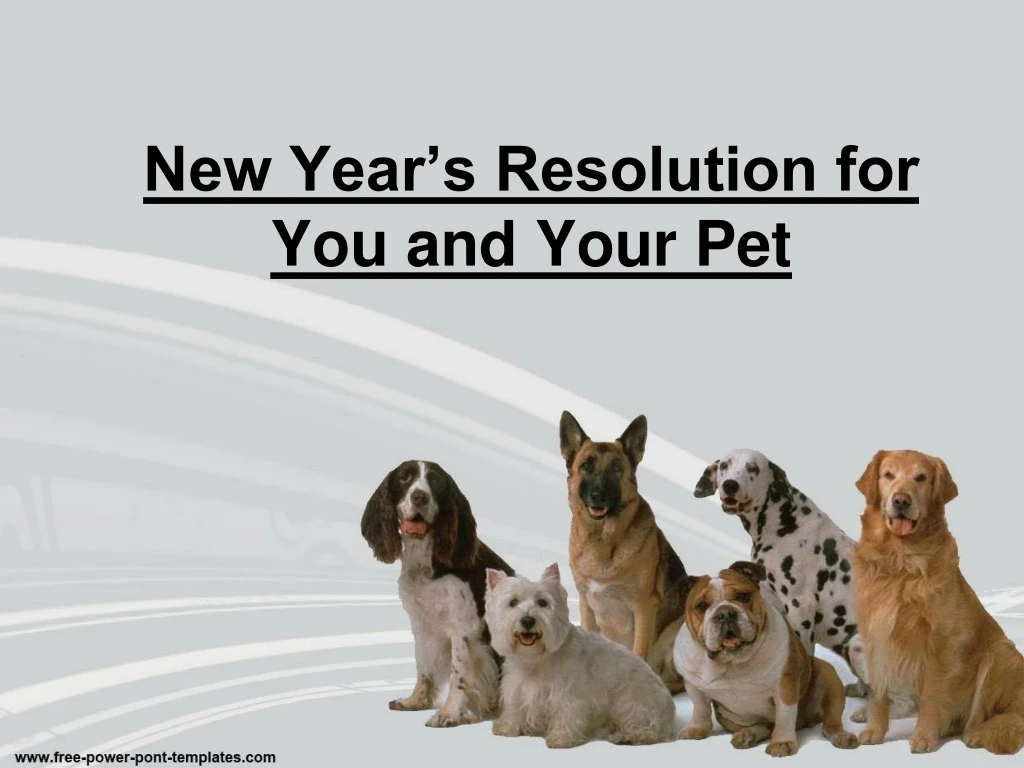 new year s resolution for you and your pet