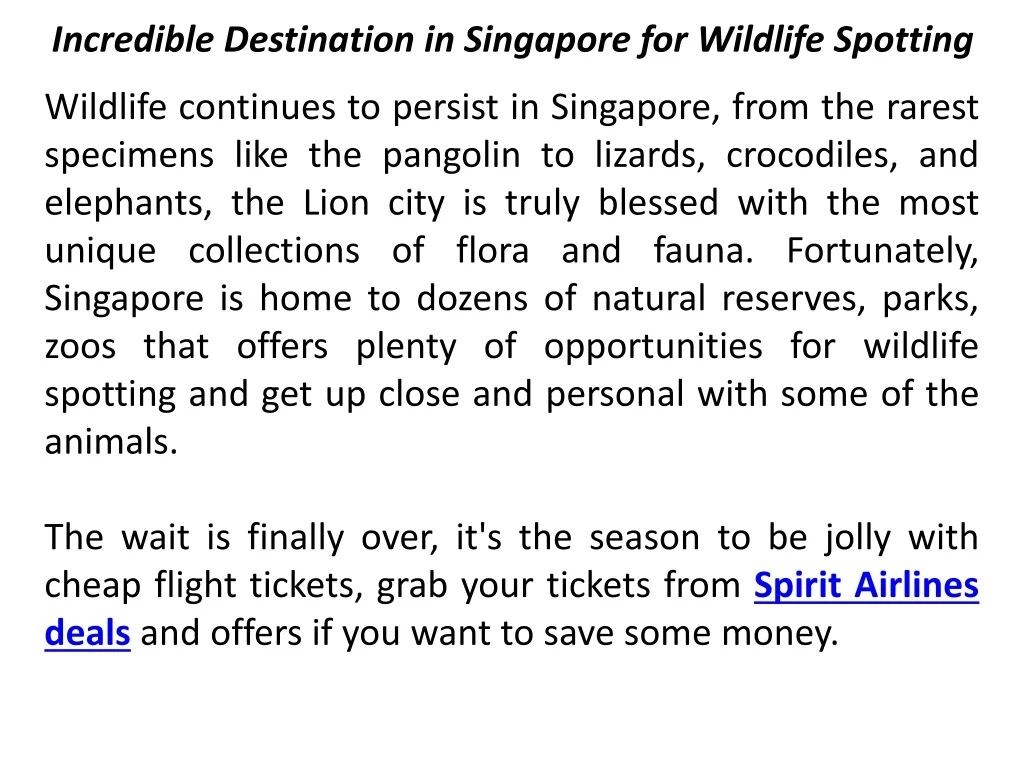 incredible destination in singapore for wildlife spotting