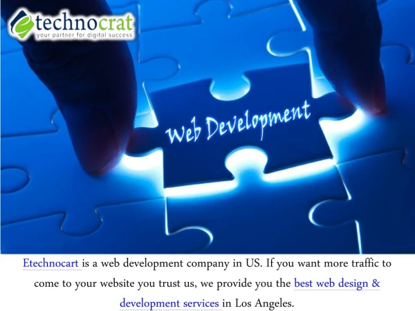 Select Professional Web Developer For Your Website - Etechnocrat