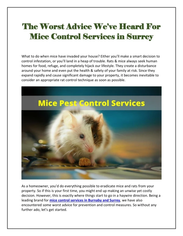 The Worst Advice We’ve Heard For Mice Control Services in Surrey