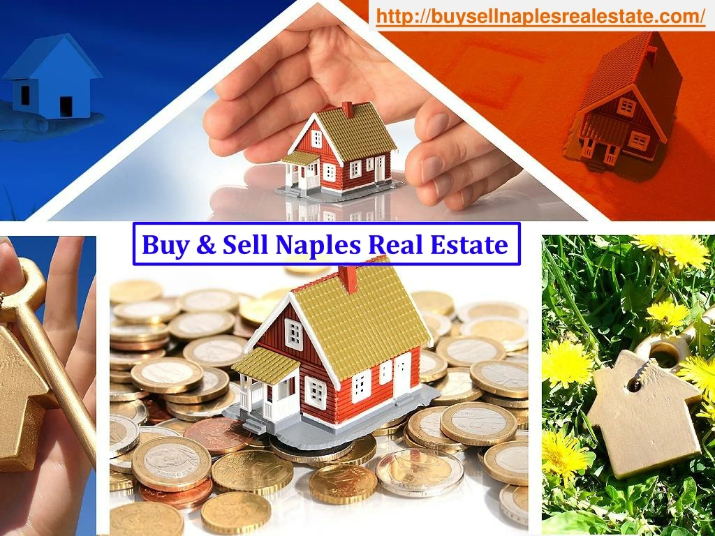 http buysellnaplesrealestate com